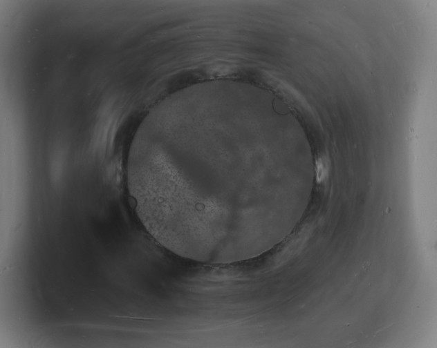X0000101671011200807171331