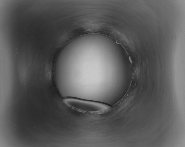 X0000101671012200807171331