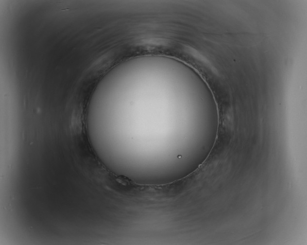 X0000101671014200807171331