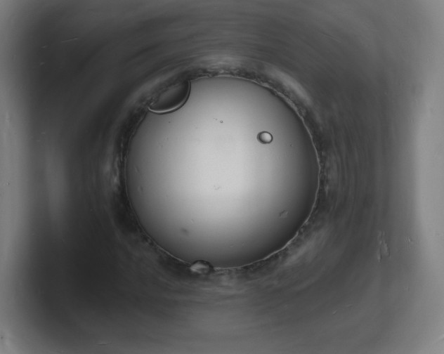 X0000101671016200807171331