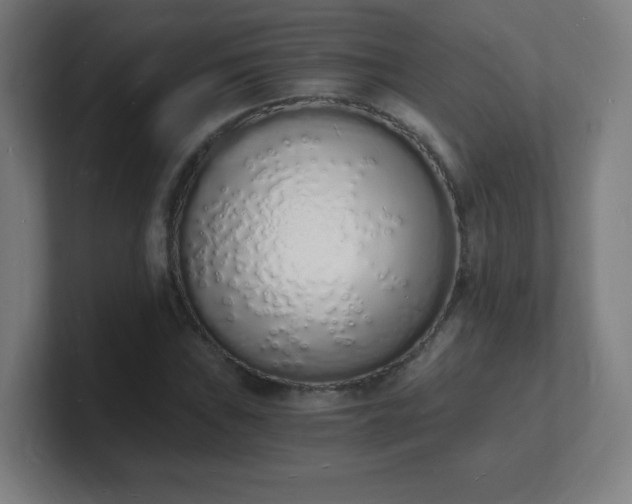 X0000101671019200807171331