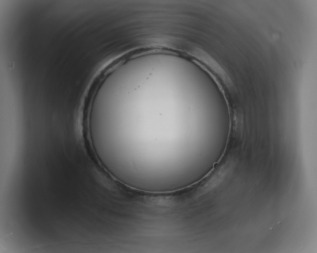 X0000101671020200807171331