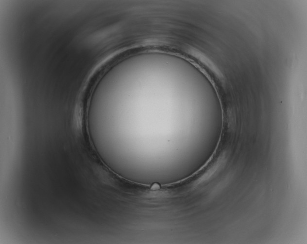 X0000101671021200807171331