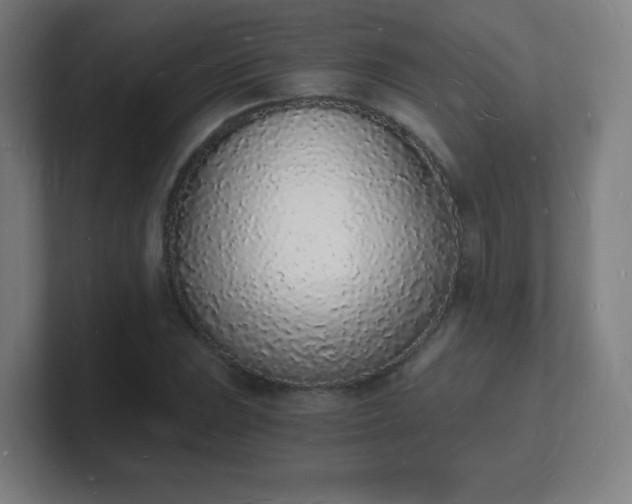 X0000101671023200807171331