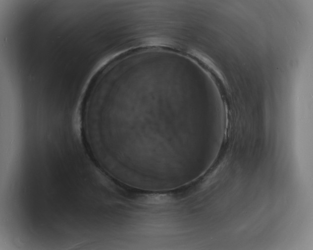 X0000101671024200807171331