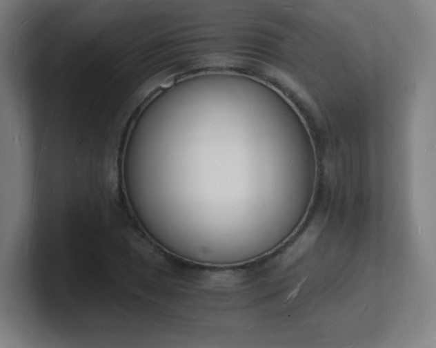 X0000101671025200807171331