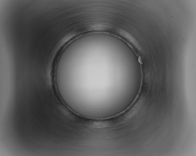 X0000101671026200807171331