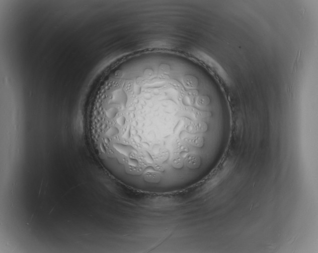 X0000101671027200807171331