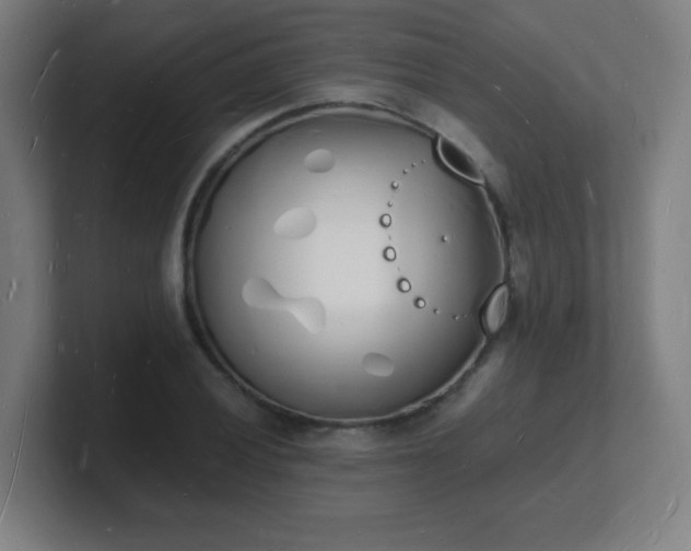 X0000101671028200807171331