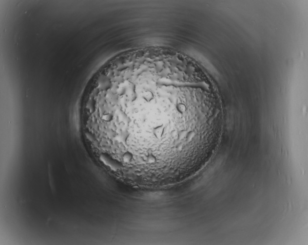 X0000101671031200807171331