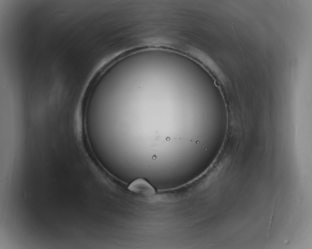 X0000101671032200807171331