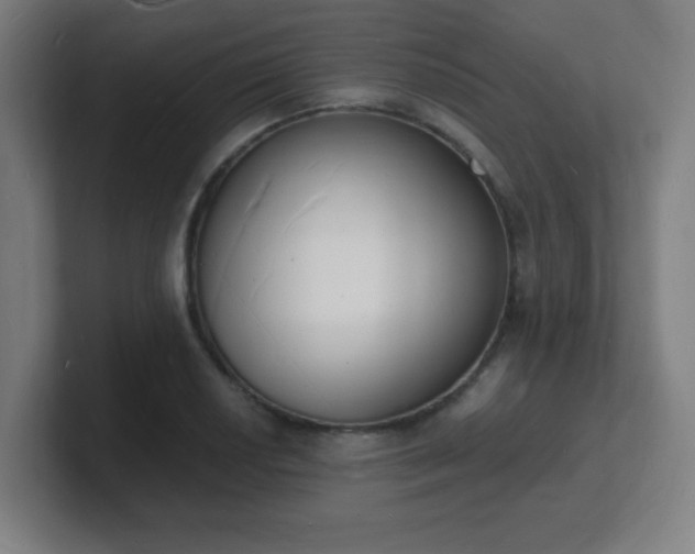 X0000101671034200807171331
