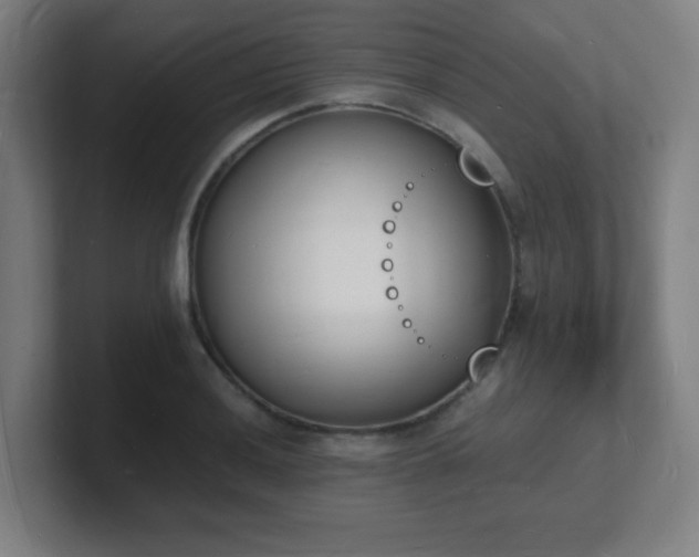 X0000101671036200807171331