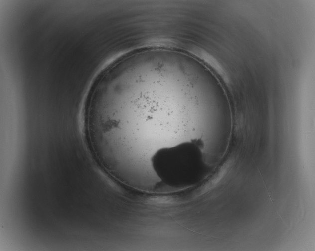 X0000101671037200807171331