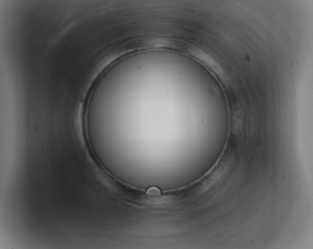 X0000101671039200807171331