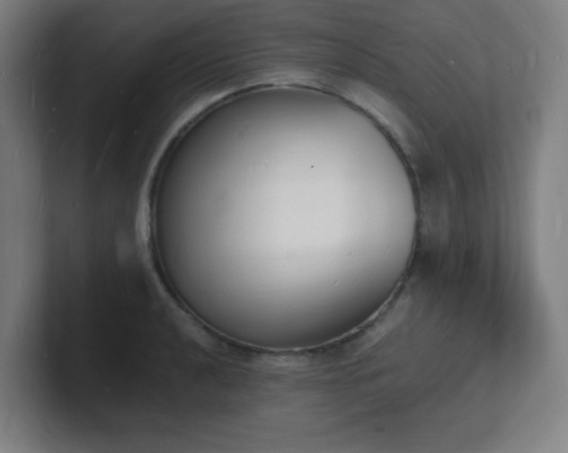 X0000101671040200807171331