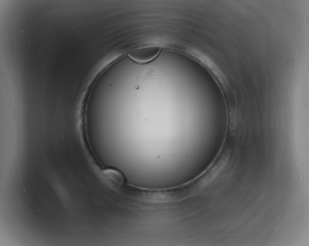 X0000101671042200807171331