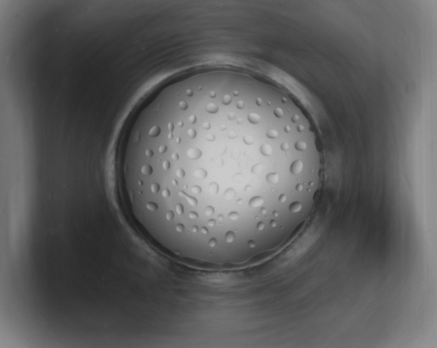 X0000101671048200807171332