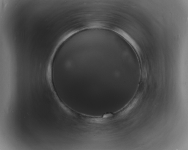 X0000101671053200807171332