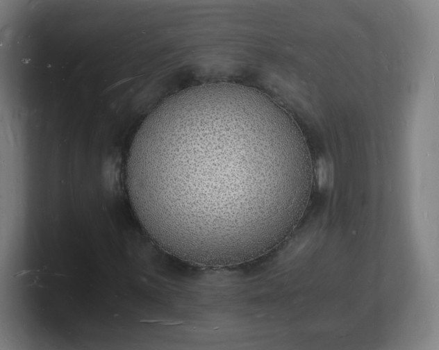 X0000101671059200807171331