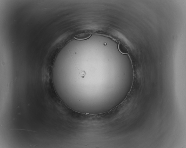 X0000101671064200807171331