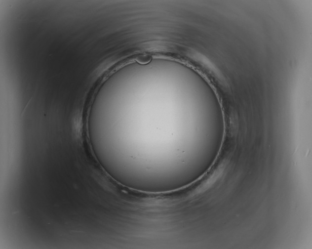 X0000101671065200807171331