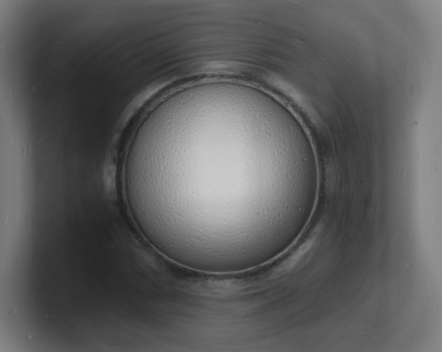 X0000101671066200807171331