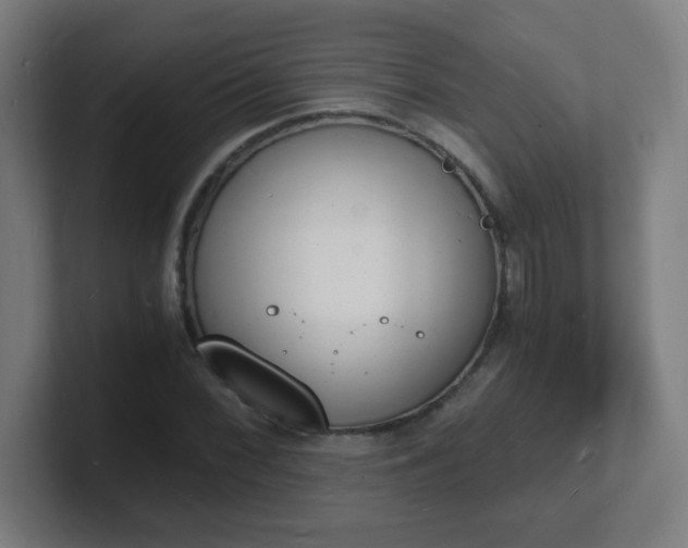 X0000101671068200807171331