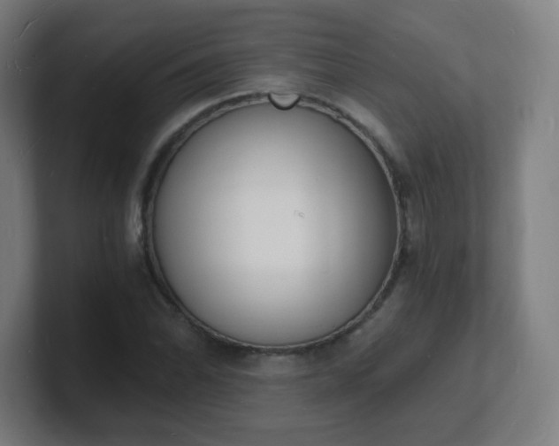X0000101671070200807171331