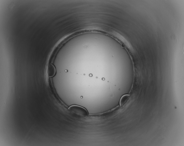 X0000101671076200807171331