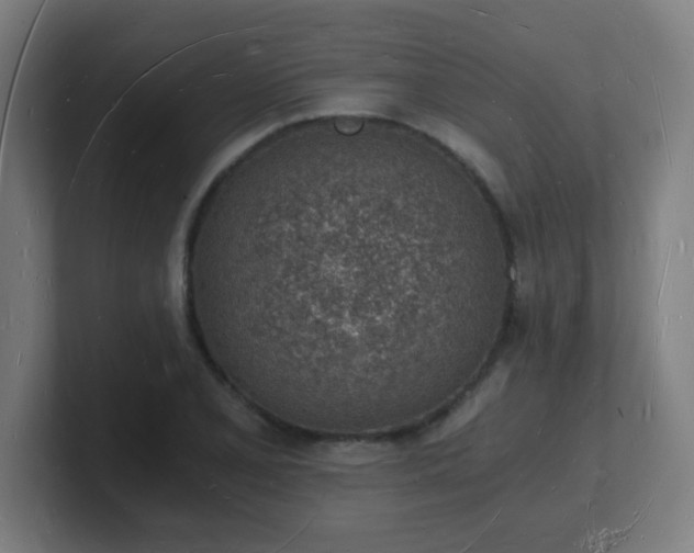 X0000101671077200807171331