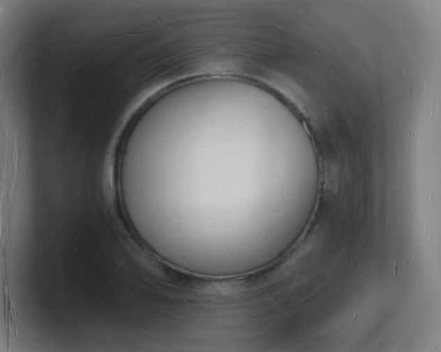 X0000101671078200807171331
