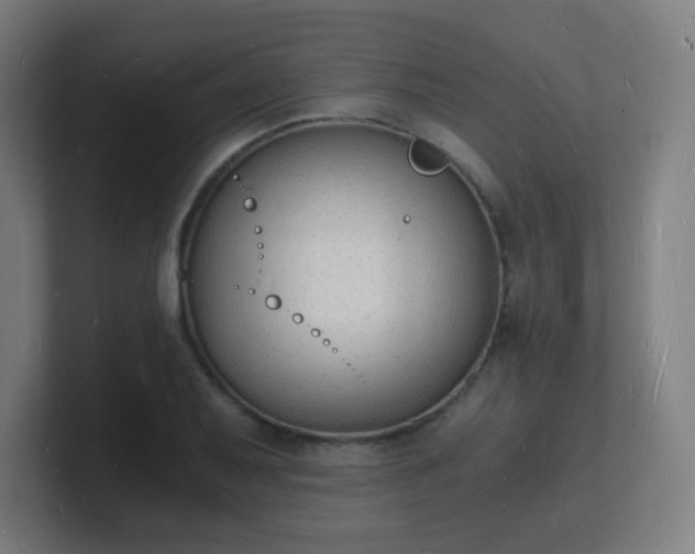 X0000101671079200807171331