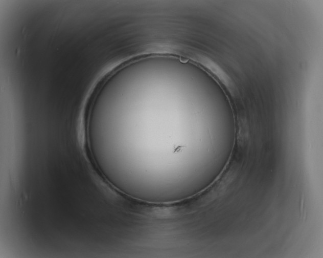 X0000101671080200807171331