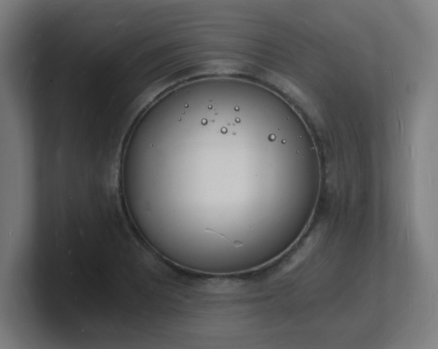 X0000101671081200807171331