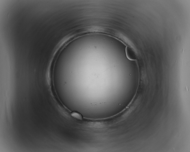 X0000101671082200807171331