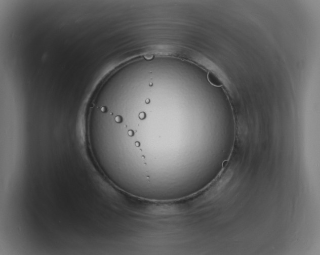 X0000101671083200807171331