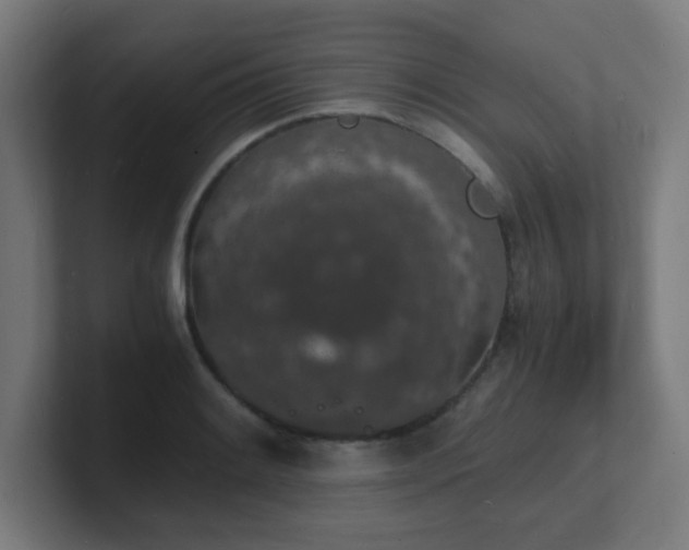X0000101671084200807171331