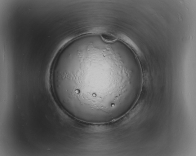 X0000101671087200807171331