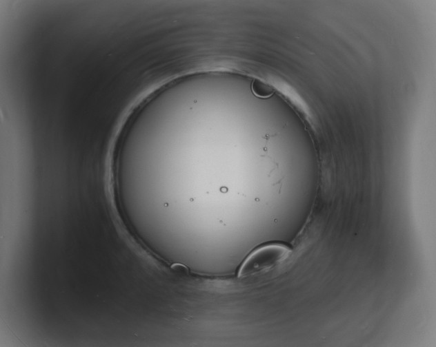 X0000101671088200807171331