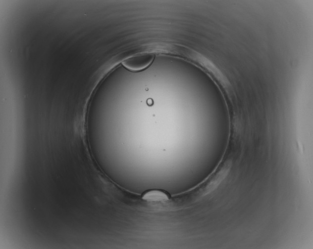 X0000101671089200807171330