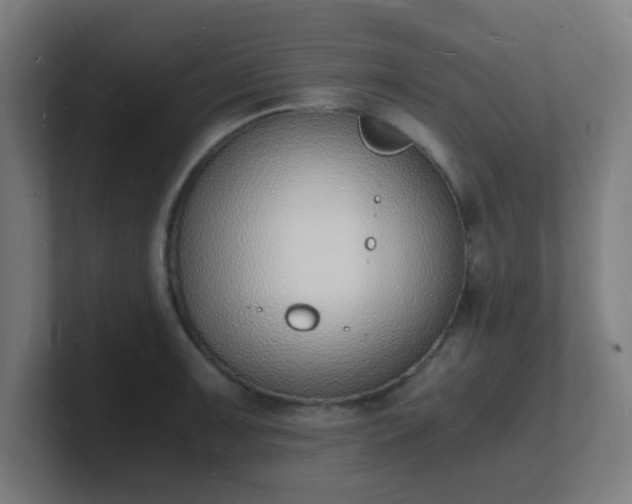X0000101671091200807171330
