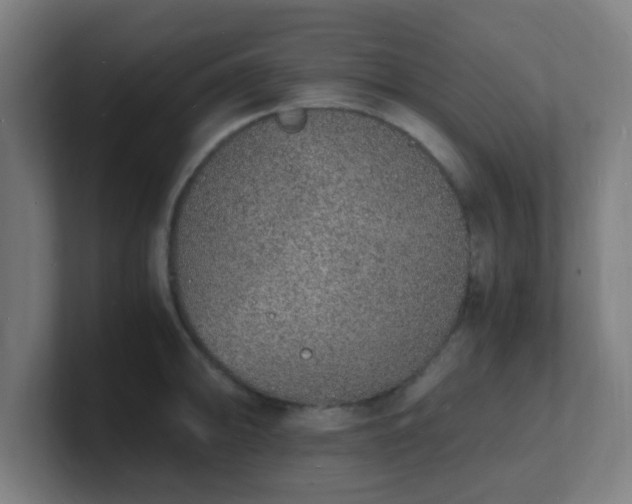 X0000101671094200807171330