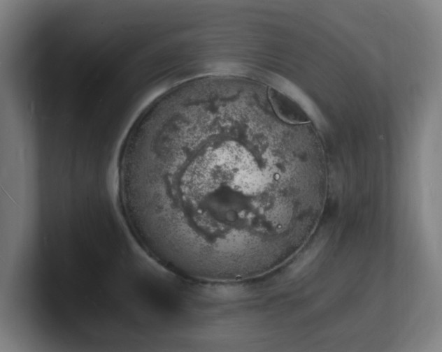 X0000101671095200807171330