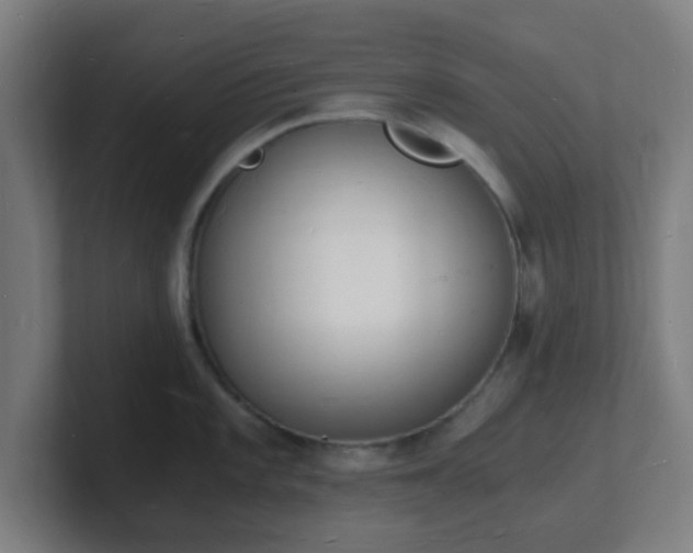 X0000101671101200807171330