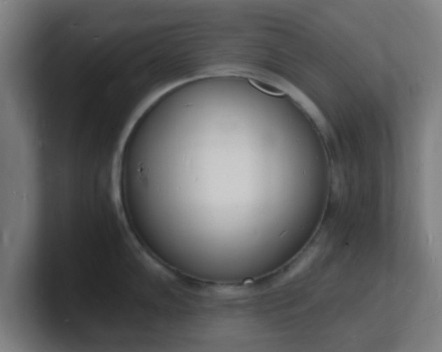 X0000101671102200807171330