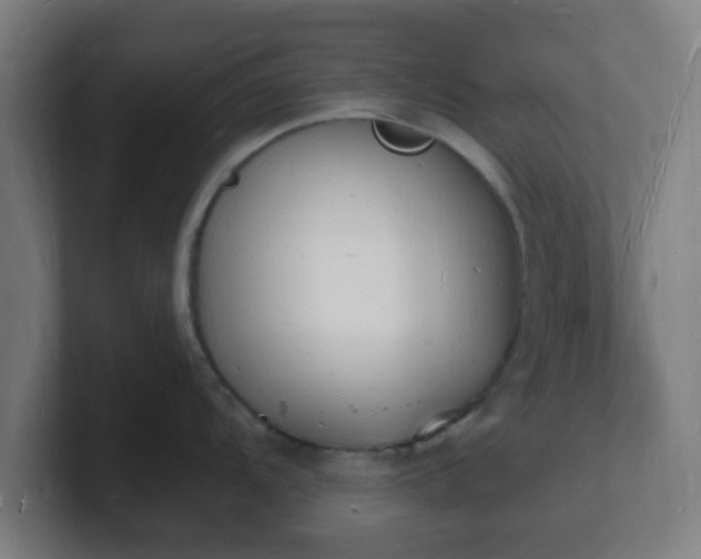 X0000101671104200807171330