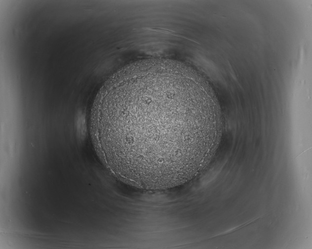 X0000101671106200807171330