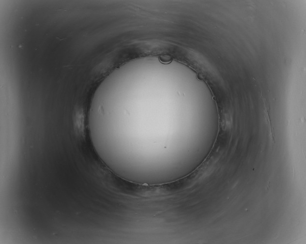 X0000101671108200807171330