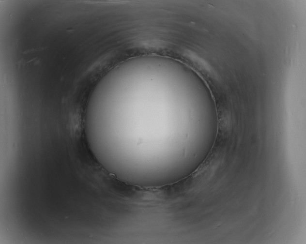 X0000101671110200807171330